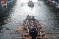 2018.08.31 til 2018.09.02 Buur i København (50)